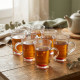 Glass Mug Set - 6 Pcs